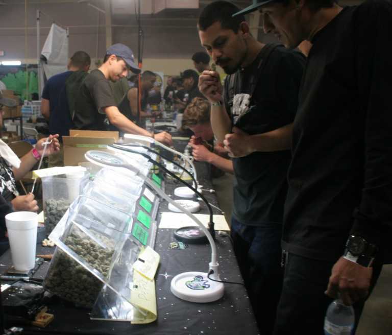 Marijuana festival comes to fairgrounds