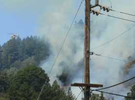 PHOTO: Wild land fire breaks out in Aptos