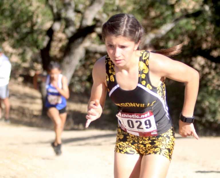 Girls PCAL Cross Country: Watsonville's Ruiz returns to form, St. Francis wins first team title