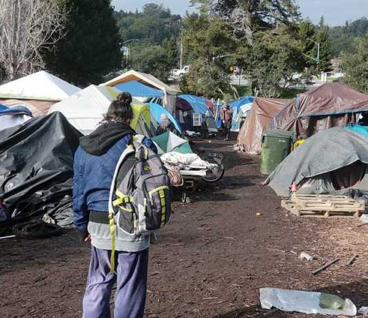 Supervisors approve two homeless plans