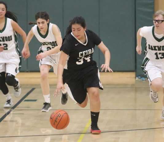 Girls' basketball roundup, 2/15: Ceiba still smiling after falling short of title