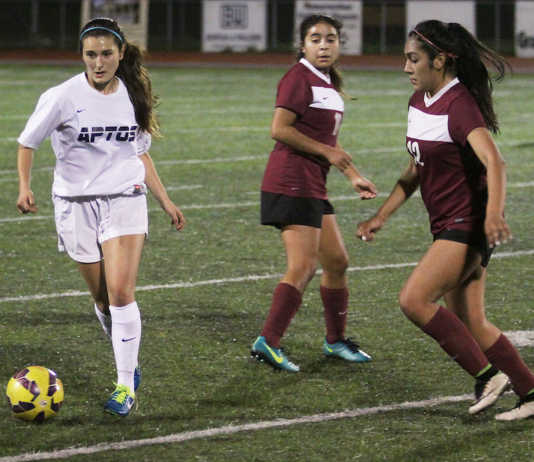 Girl's SCCAL Soccer: Hernandez Marquez earns league’s top honor; Perkin wins top coach