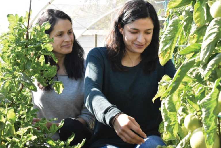 Female growers and innovators to be featured at EcoFarm 2019