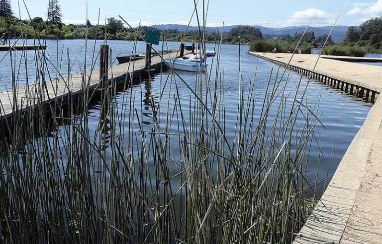 Report details Pinto Lake cleanup