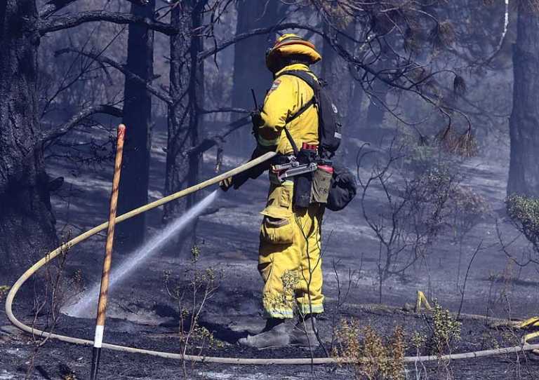 Wild land fire chars 5 acres in Scotts Valley