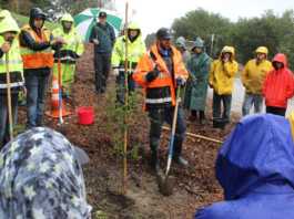 Rain doesn’t halt World Wetlands Day