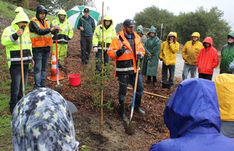 Rain doesn’t halt World Wetlands Day