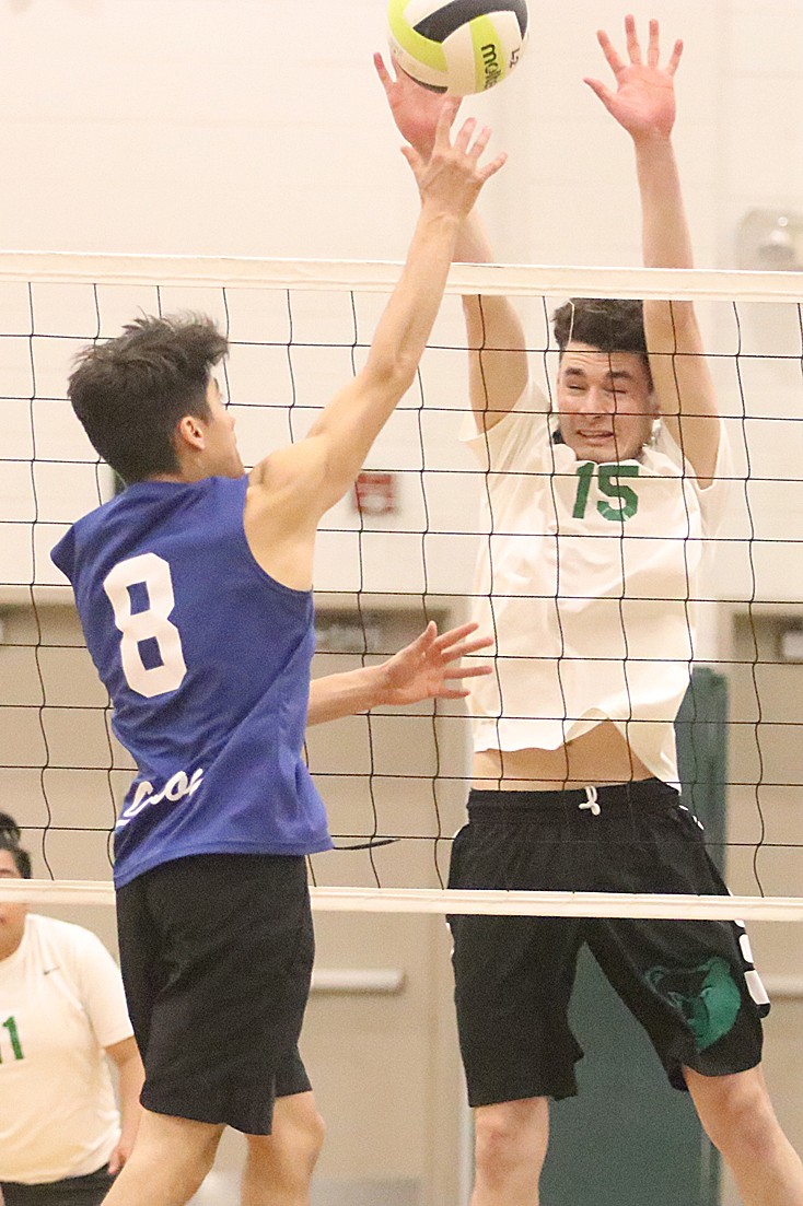 Weekly Roundup, 3/15: Pajaro Valley volleyball blocks Gilroy