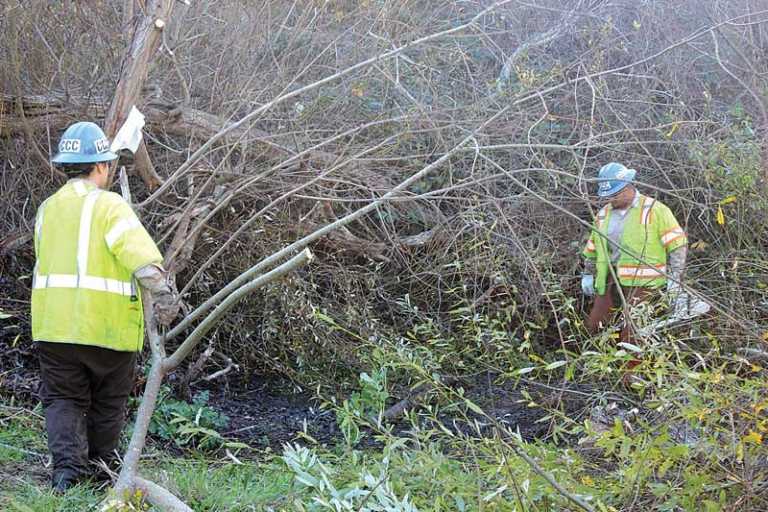 Crews clean up Struve Slough