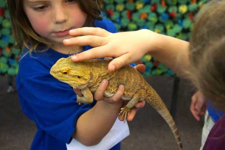 Environmental education highlighted at upcoming Summit for the Planet