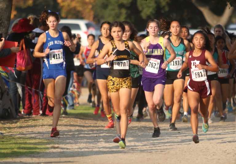 CCS Cross Country Championships, 2018: Ruiz reaches new heights for 'Catz, leads local quartet to state