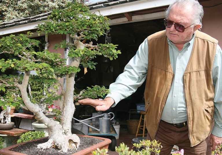 Bonsai enthusiast bids farewell