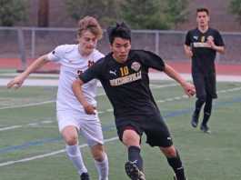 Boys soccer preview, 2018-19: Youthful Watsonville trying to reach high bar; Ceiba, M.V.C. cherish new opportunities