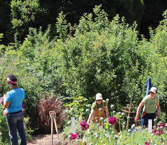 50 years at the UCSC Farm & Garden