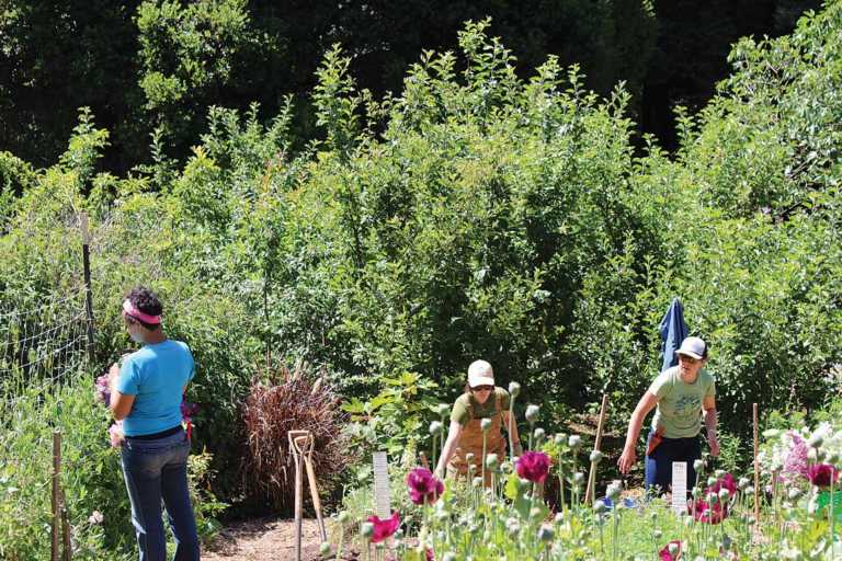 50 years at the UCSC Farm & Garden