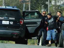 Suspect detained in reported stolen car