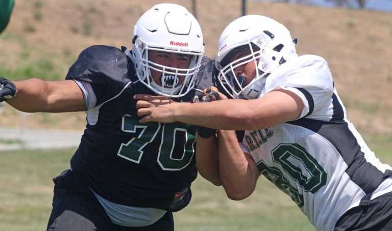 HS Football: Pajaro Valley hopes for short stay in PCAL's lower division