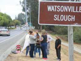 Man arrested in fatal collision