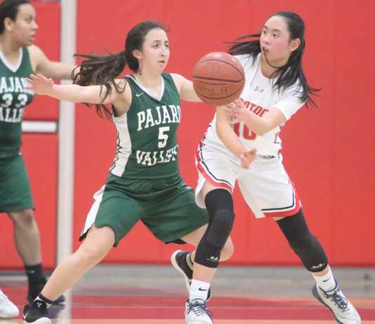 Girls' CCS basketball: Pajaro Valley's record-setting season ends in second round