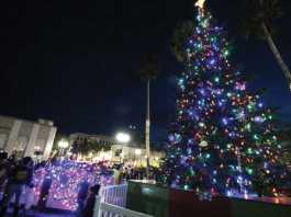 Tree lighting, Snow Day kick off holiday season