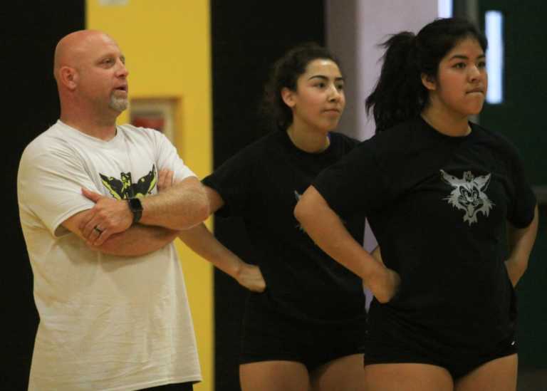 HS Volleyball: WHS coach steps down after probe in neighboring county