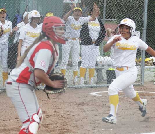 CCS Softball: Watsonville’s freshmen stepping up to plate for defending D-I champ