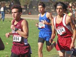 CCS Cross Country: Kelly ready for last hurrah at St. Francis