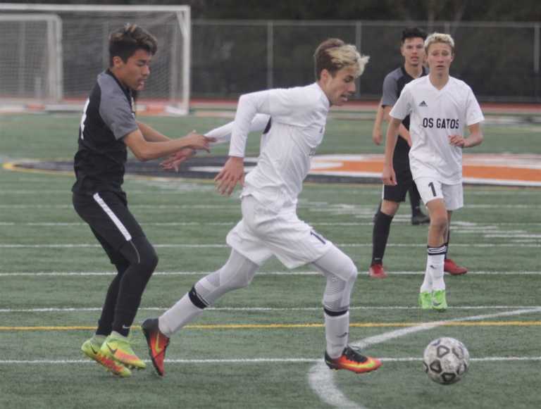 CCS Open Division Soccer: Watsonville falls to top-seeded Los Gatos despite dominant performance