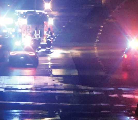 Man killed by falling tree on Hwy. 17, 10 vehicles involved