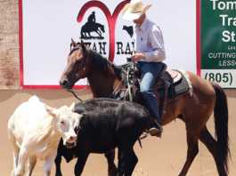 Round ‘em up! | Photo