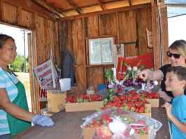 Paso Robles farm stand to stay open until Oct. 1