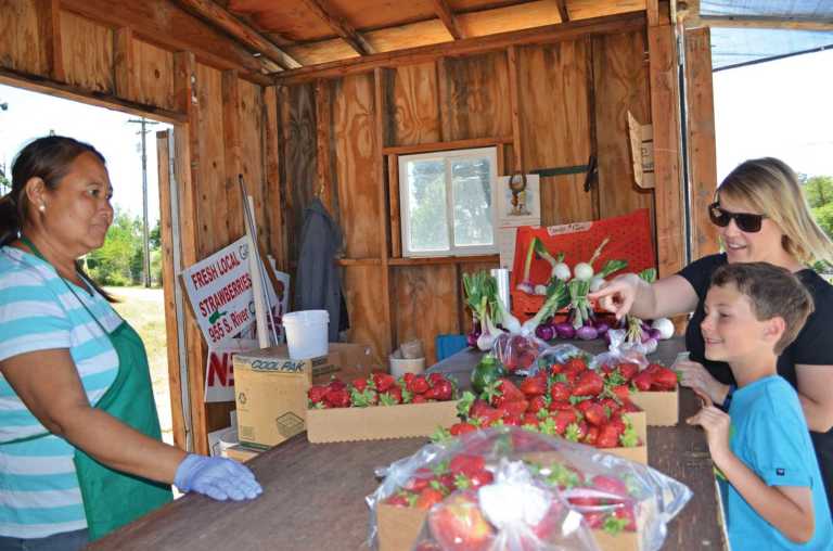 Paso Robles farm stand to stay open until Oct. 1