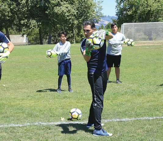 Mastering their field