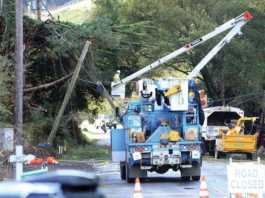 PHOTO: Tree crashes through power lines on Paradise Road