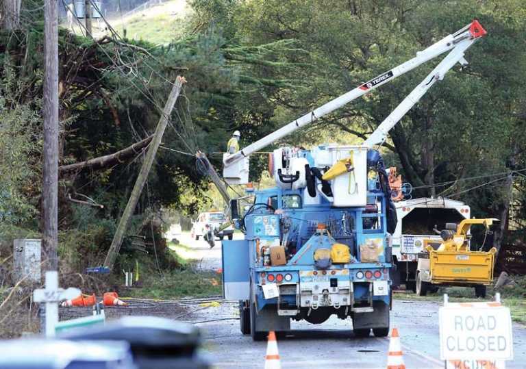 PHOTO: Tree crashes through power lines on Paradise Road