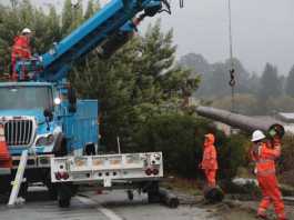 Corralitos Road closed after man drives into power pole