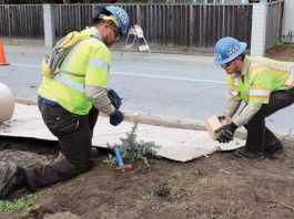 Crews begin replacing Bridge Street median