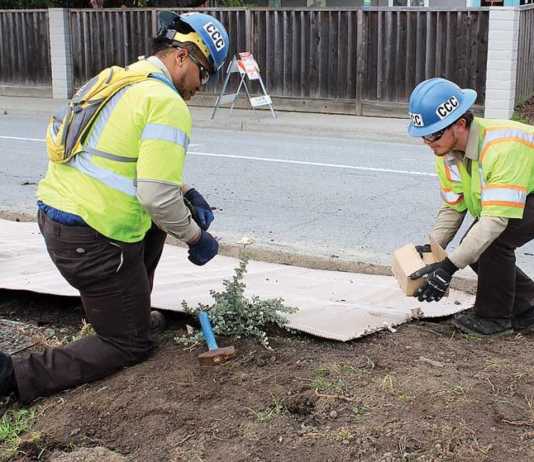 Crews begin replacing Bridge Street median