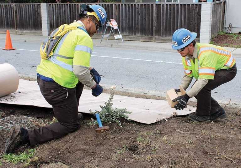 Crews begin replacing Bridge Street median