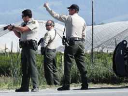 Report of gun-wielding man draws police response