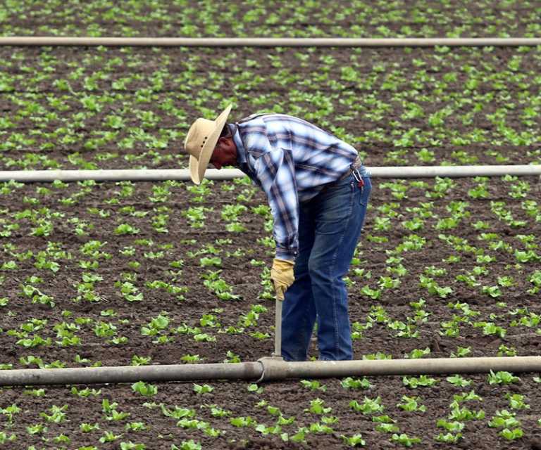 Farmworker communities applaud chlorpyrifos cancellation