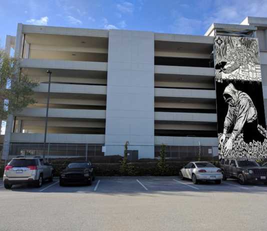 First image selected for ‘Watsonville Brillante’