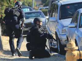 WPD: Stolen van found behind burglarized gun shop