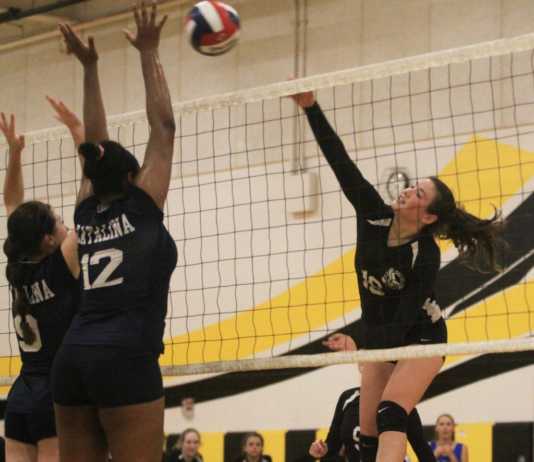 20 Athletes in 20 Days: Paola Jacobs