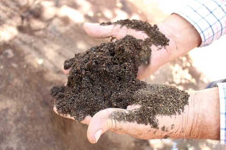 Watsonville's Whiskey Hill Soils offers organic worm castings