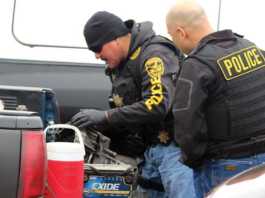 Man suspected of stealing vehicle arrested