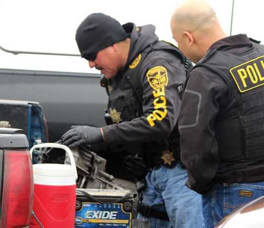 Man suspected of stealing vehicle arrested