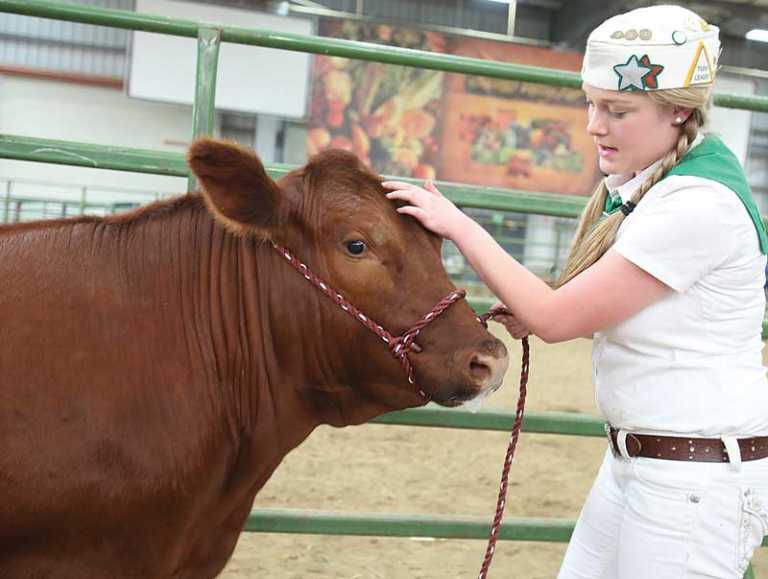 Salinas Valley Fair to be held May 18-21