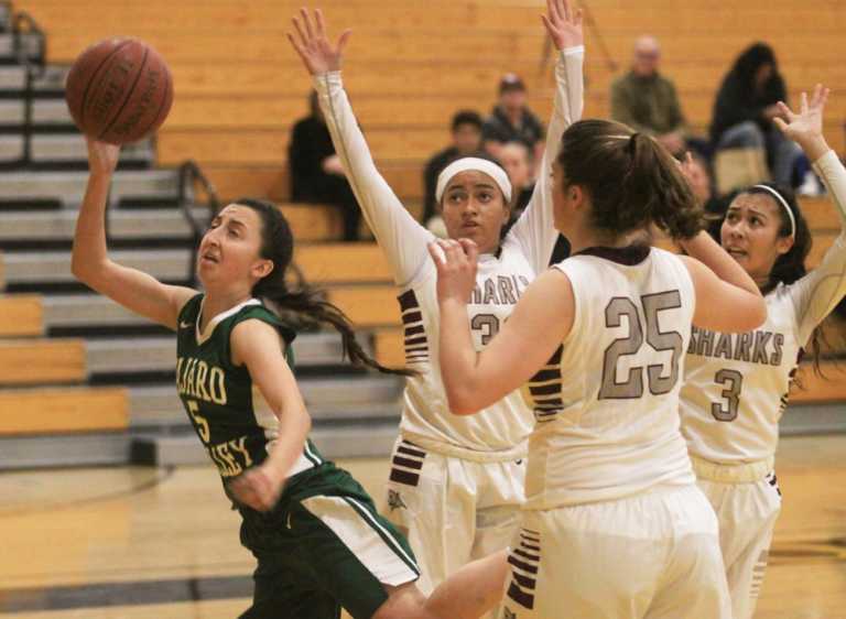 Girls' MBL Basketball Preview, 2017-18: All 4 local squads carry league M.V.P. candidate