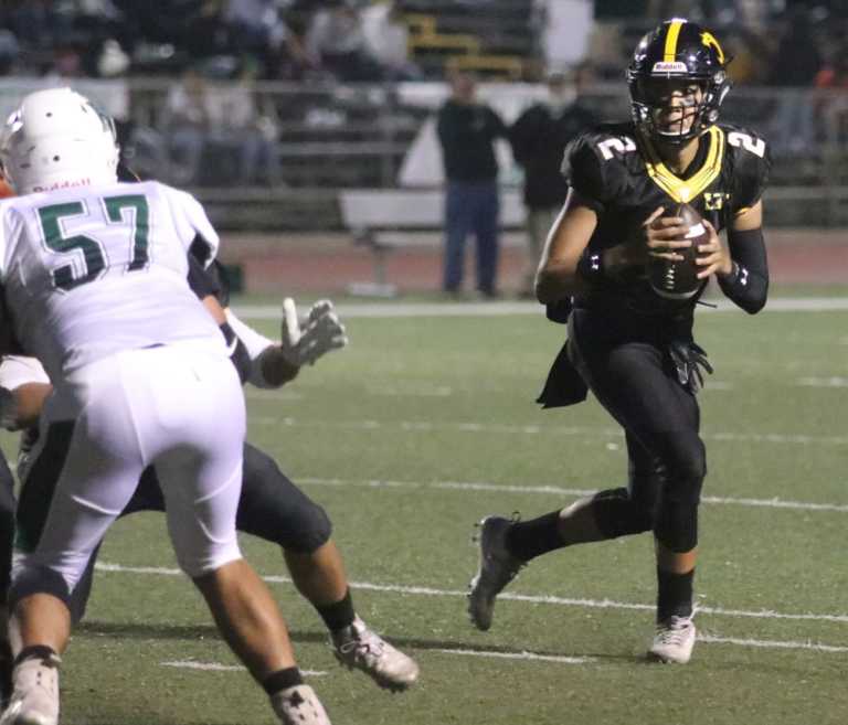 HS Football, Week 6: ‘Catz, Sharks, Grizzlies start league